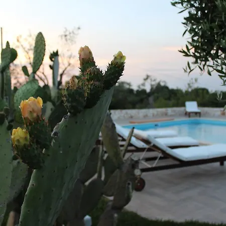 Pepp Appartement Monopoli