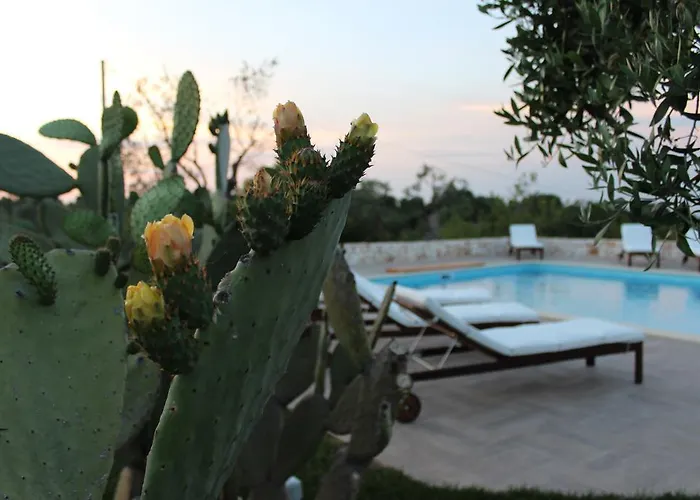 Pepp 公寓 莫诺波利