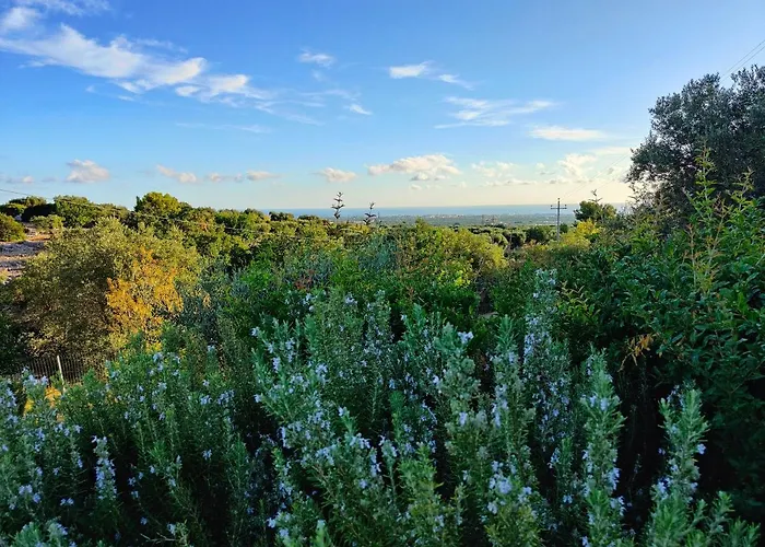 公寓 Pepp 莫诺波利