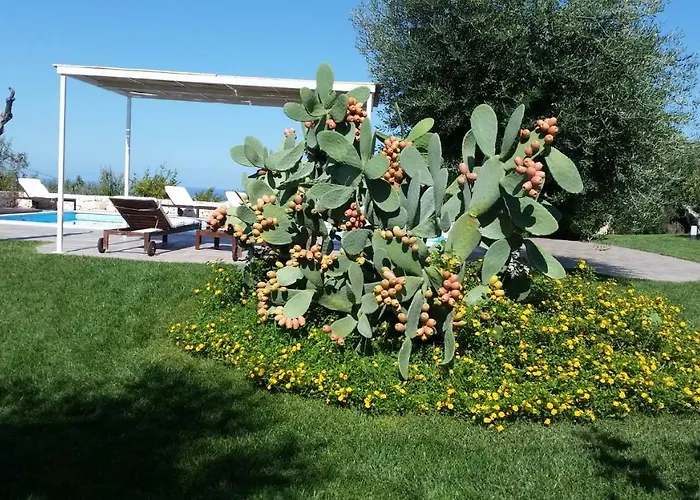 Pepp 公寓 莫诺波利