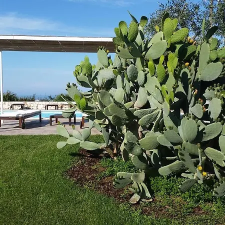 Pepp Apartmán Monopoli