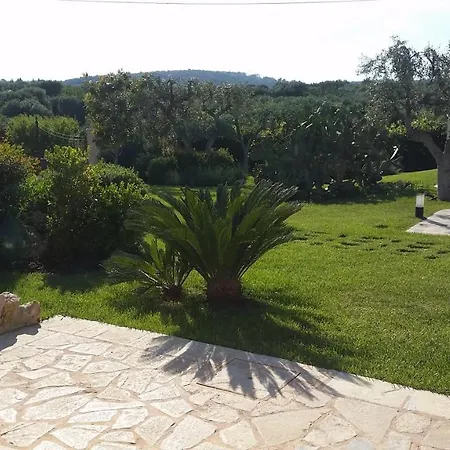 Pepp * מונופולי