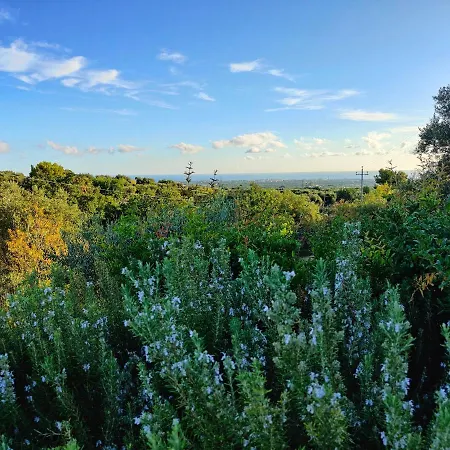 דירה Pepp מונופולי