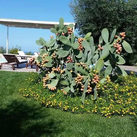 Pepp Apartmán Monopoli